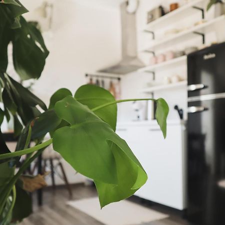 Urban Jungle Apartment - Free Parking 류블랴나 외부 사진