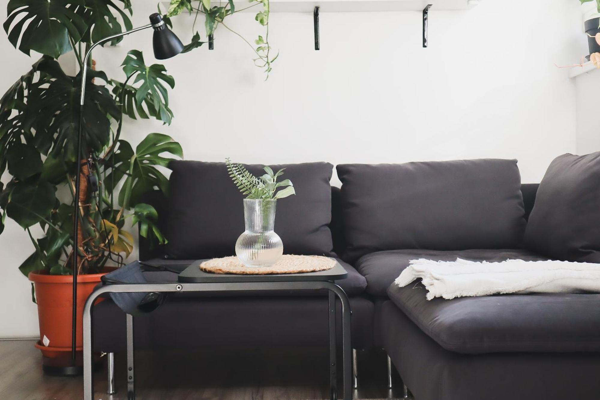 Urban Jungle Apartment - Free Parking 류블랴나 외부 사진